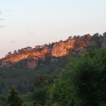 L' Oree Du Val Sillans-la Cascade Exteriör bild